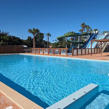 אתר קמפינג Mobil-home70 _ La Palmeraie טוריי